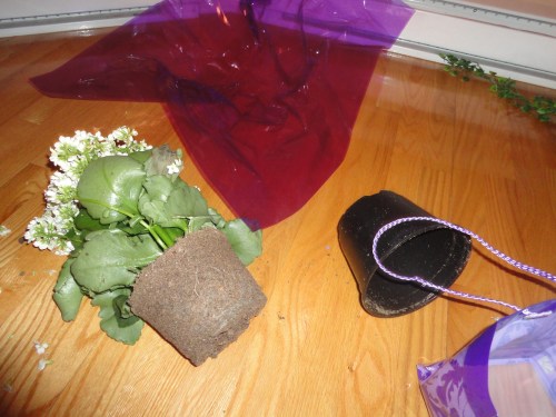 That's what I thought...